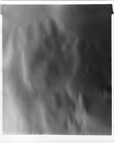 <i>Alp #3</i>, 2019<br />
<em>Gelatin silver handprint on baryta paper, direct exposure</em><br />
25 x 20 cm<br />
Unique